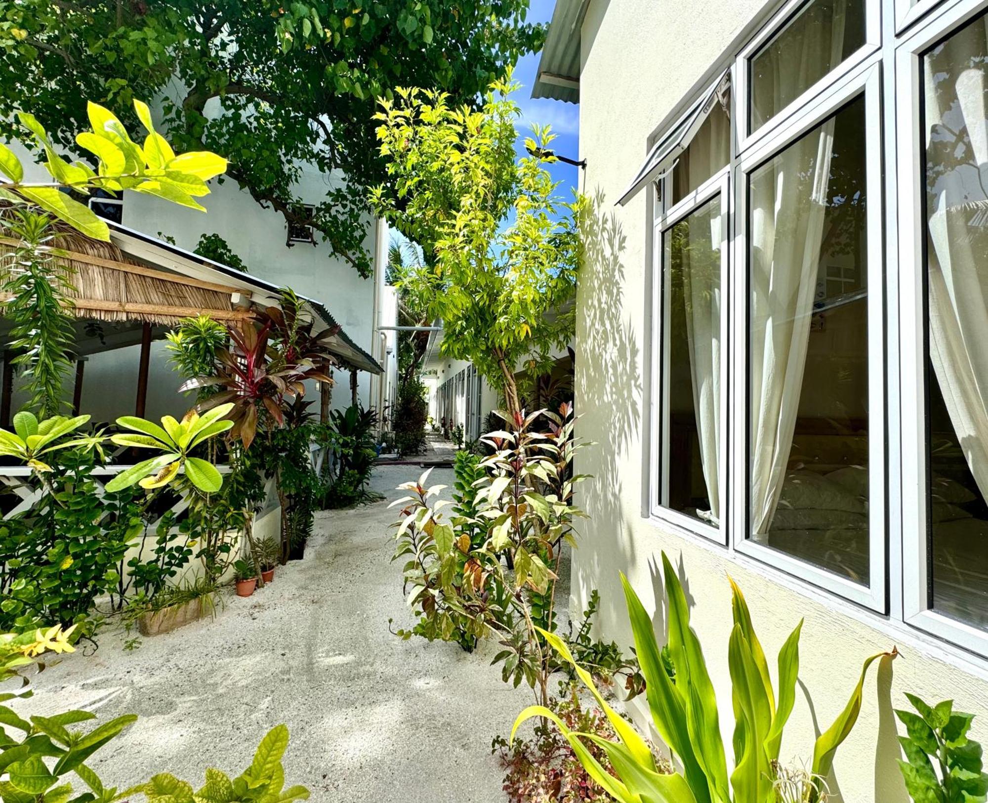 Three Hearts Guesthouse And Villas Fulhadhoo Rum bild