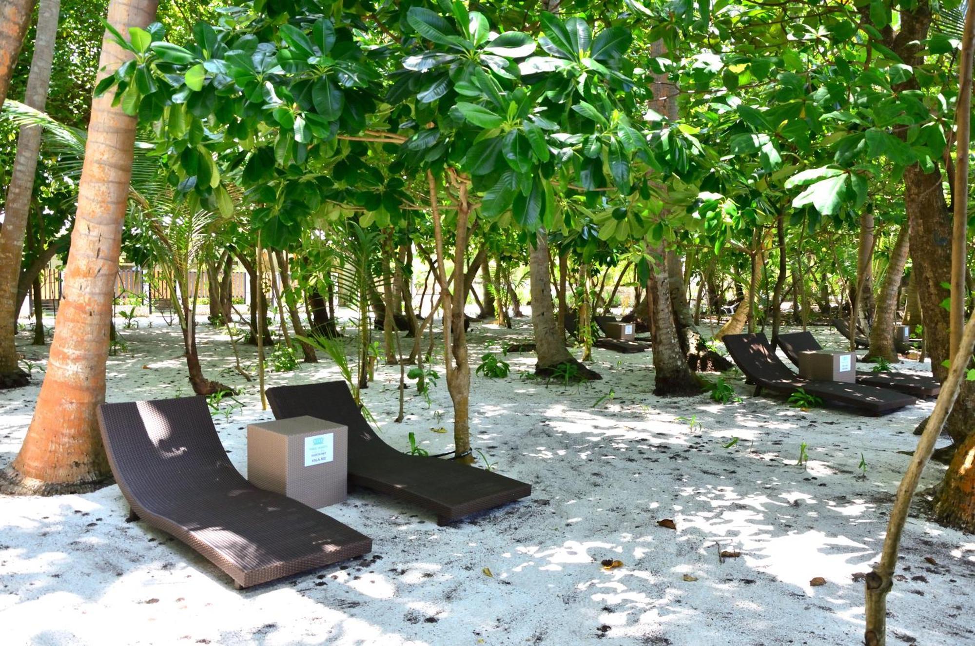 Three Hearts Guesthouse And Villas Fulhadhoo Rum bild